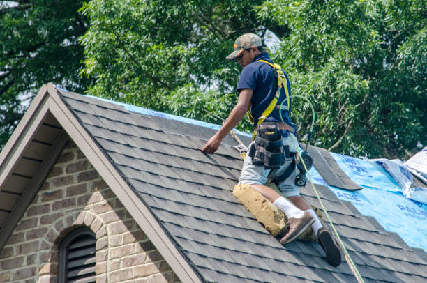 Best Storm Damage Roof Repair  in Ringwood, NJ